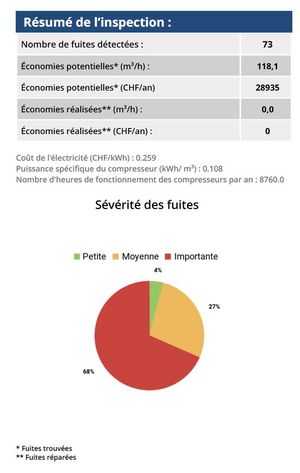 Image - exemple_rapport_audit_fuites_air.JPG