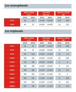 Image - TABLEAU-POMPE-A-PALETTES-LUBRIFIEES-EVISA-2.jpg